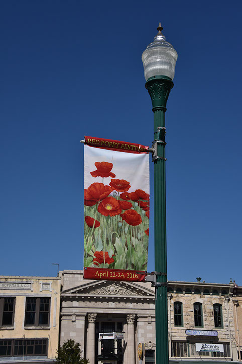 PoppyBanner