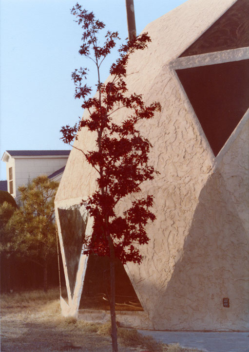 ExteriorTree