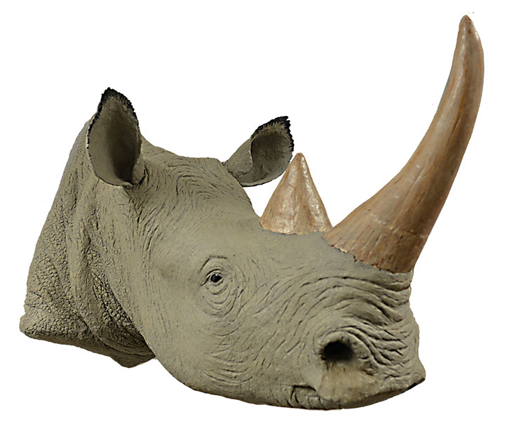 White Rhino