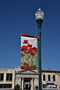 PoppyBanner