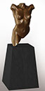 Sm Torso